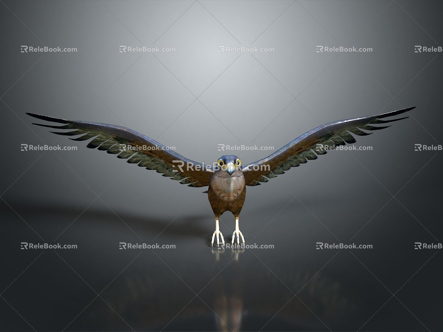 Eagle Large Eagle Owl Raptor Falcon Bird Bird Bird Animal Game Animal 3d model