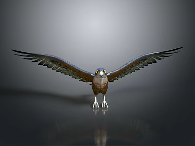Flying Animal Eagle with Spread Wings Clear Claws and Reflection on Gray Gradient Background 3d model