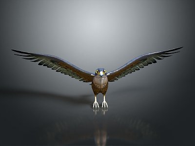 Eagle Large Eagle Owl Raptor Falcon Bird Animal Game Animal 3d model