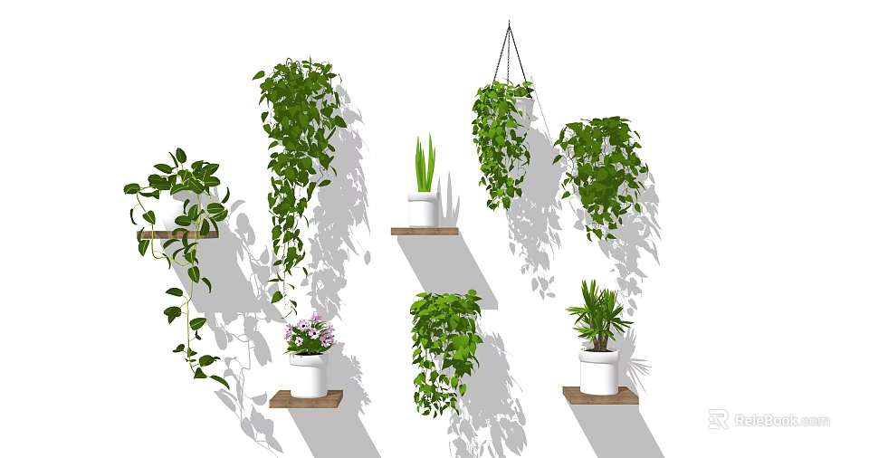 Bonsai Potted Plants On Wall Shelves With Hanging Green Vines And Flowering Decorative Pots 3d model 