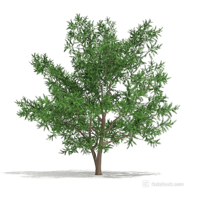 Lush Green Tree With Dense Foliage And Strong Brown Trunk 3d model