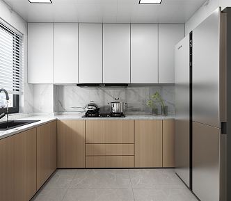 Enclosed kitchen Modern kitchen 3d model