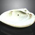 White Clam Shell With Oval Shape Textured Edge And Small Hole On Dark Background