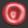 Human Ear Organ Anatomical Model With Red Textured Surface And Detailed Structure