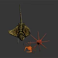 Colorful Marine Animals Including Manta Ray Octopus and Crab in Underwater