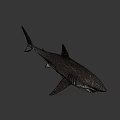 Fierce Shark Character From Game And Movie With Sharp Teeth And 3D Design