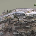 Natural Wooden Sticks And Rough Stone Boulders On Earthy Outdoor Ground