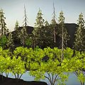 Lush Natural Landscape With Tall Pine Trees Green Yellow Foliage Mountain And Calm Water