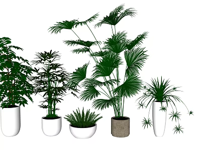 Various Bonsai Potted Plants With Green Leaves And Different Shaped Pots For Indoor Decoration 3d model