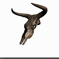 Bull Skull With Large Curved Horns And Detailed Texture On Gray Background