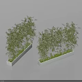 Lush Green Bamboo Plants In White Rectangular Planters With Fresh Green Grass Decor 3d model