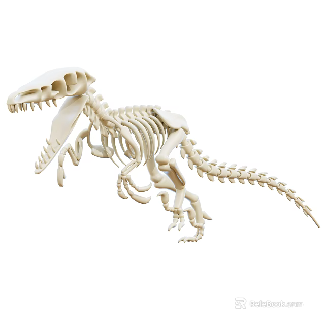White Dinosaur Skeleton Decorative Ornament Set for Home Decoration 3d model