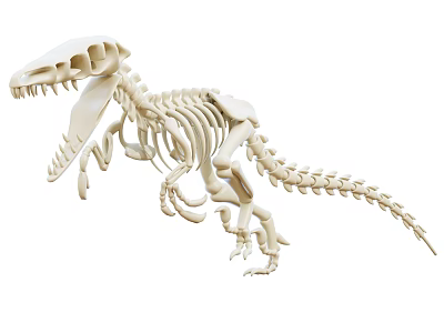 White Dinosaur Skeleton Decorative Ornament Set for Home Decoration 3d model