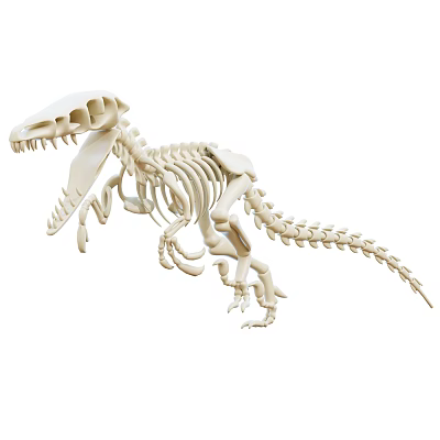 White Dinosaur Skeleton Decorative Ornament Set for Home Decoration 3d model
