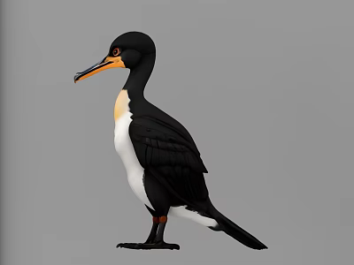 Black and white feathered aquatic animal standing with orange long beak 3d model