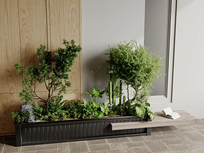 Indoor Green Plant Combination with Shrubs Cacti Ferns in Black Rectangular Planter and Wooden Cabinets 3d model