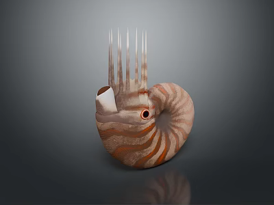 Nautilus Aquatic Animal With Spiral Shell Orange Stripes Eye And Tentacles 3d model
