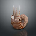 Nautilus Aquatic Animal With Spiral Shell Orange Stripes Eye And Tentacles