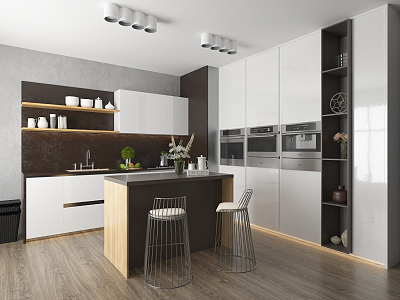 Modern Kitchen Cabinets model