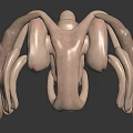 Detailed 3D Model of Human Organs and Hair with Complex Anatomical Structure
