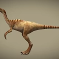 Realistic Bipedal Dinosaur Model With Brown Beige Skin Texture And Long Tail