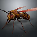 Detailed 3D Wasp Model With Yellow Black Stripes Red Eyes And Transparent Wings