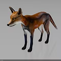 Realistic Red Fox 3D Render With Orange White Fur And Blue Legs Standing Pose