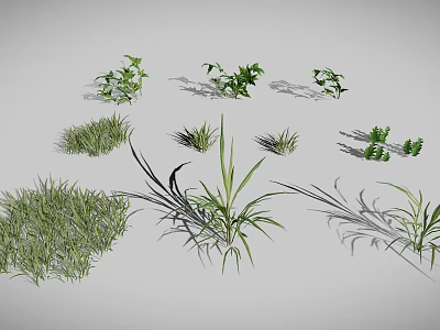 Various Green Plants Including Grass Shrubs and Leafy Sprouts Arranged on Gray Background 3d model