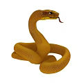 Striking Yellow Coiled Snake With Extended Tongue Showcasing Reptile Features