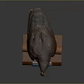 Stuffed Eagle Taxidermy Display On Wooden Stand With Information Label