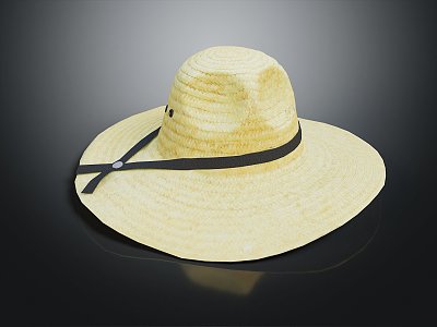 Modern Hat Summer Straw Hat Straw Hat Women's Straw Hat 3d model