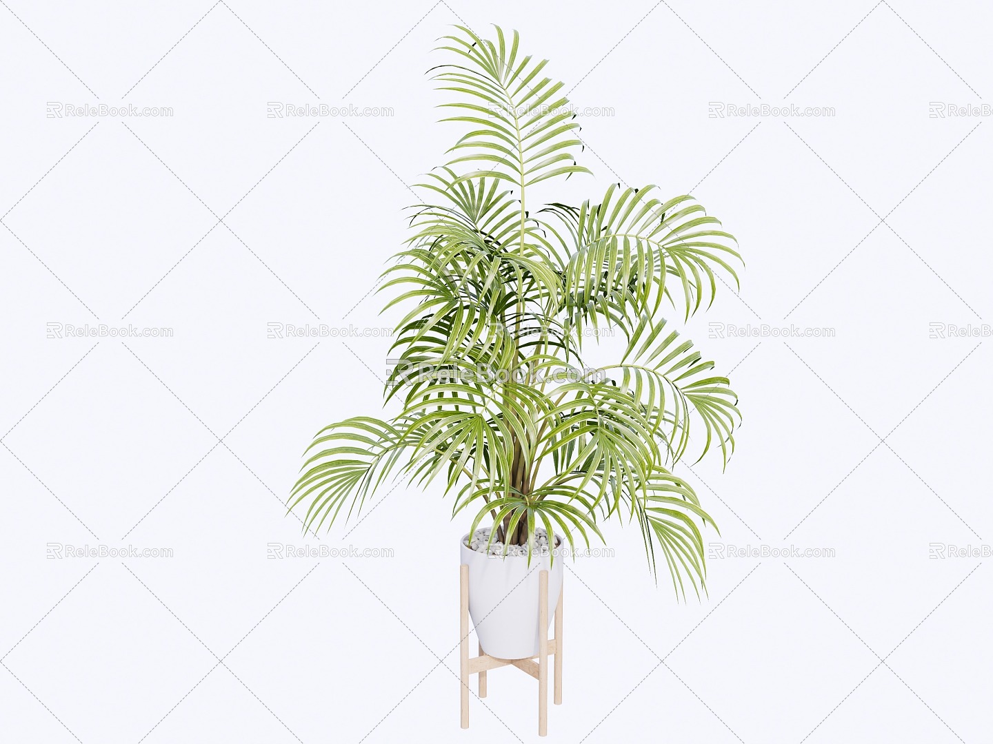 Modern indoor potted plants 3d model