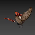Game Movie Character Butterfly with Black Orange Wing Patterns and Detailed Design