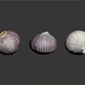 Three Fresh Garlic Bulbs Purple Striped And White Varieties On Dark Reflective Surface