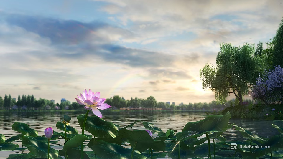 Tranquil Garden Landscape Featuring Lotus Flower And Leaves With Willow By Lake And Sunset Clouds 3d model 