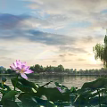 Tranquil Garden Landscape Featuring Lotus Flower And Leaves With Willow By Lake And Sunset Clouds