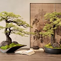 Traditional Bonsai Trees Display On Wooden Table With Open Book And Decorative Object
