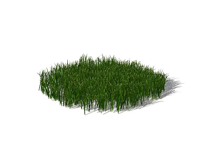 Vibrant Green Natural Grass With Irregular Shape And Soft Shadow 3d model