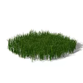 Vibrant Green Natural Grass With Irregular Shape And Soft Shadow