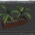 Two Bonsai Potted Plants In Wooden Rectangular Planter With Green Leaves 3d model