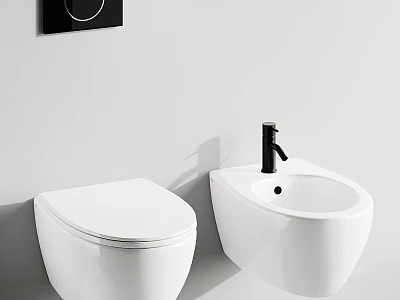 Wall Mounted White Toilet With Bidet And Black Faucet In Modern Bathroom 3d model