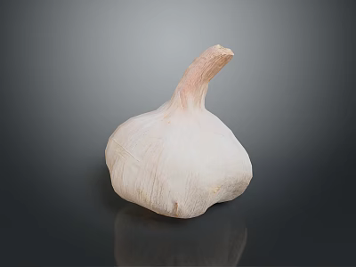 Fresh Whole Garlic Bulb With Natural Skin Texture On Dark Background 3d model
