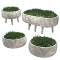 Concrete Bonsai Planters With Legs Various Shapes And Small Green Plants