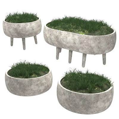 Concrete Bonsai Planters With Legs Various Shapes And Small Green Plants 3d model