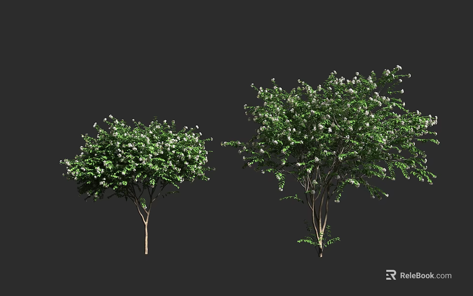 Two Lush Green Arbor Trees With Dense Foliage And Strong Trunks 3d model 