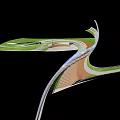 Modern Curved Park Landscape Design With Winding Pathways And Green Lawns