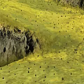 Beautiful Natural Grassland Landscape With Rocky Crevices And Undulating Terrain