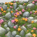 Natural Rock Pile Landscape With Colorful Pink Yellow Flowers And Green Grass
