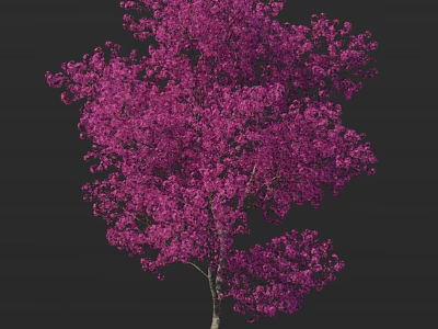Beautiful Arbor With Lush Purple Flowers Blooming Vibrantly In Garden Space 3d model