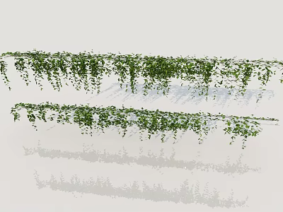 Lush Green Hanging Vines With Dense Leaves For Home Decor And Garden Decoration 3d model